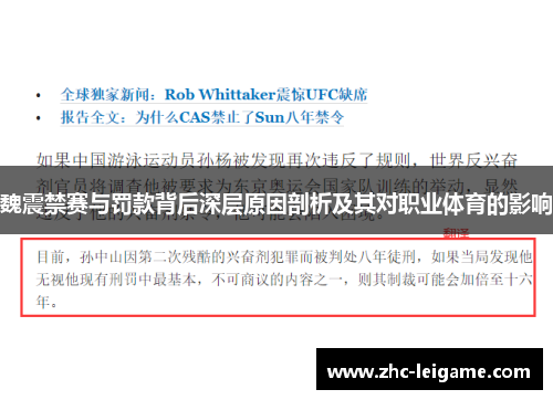魏震禁赛与罚款背后深层原因剖析及其对职业体育的影响